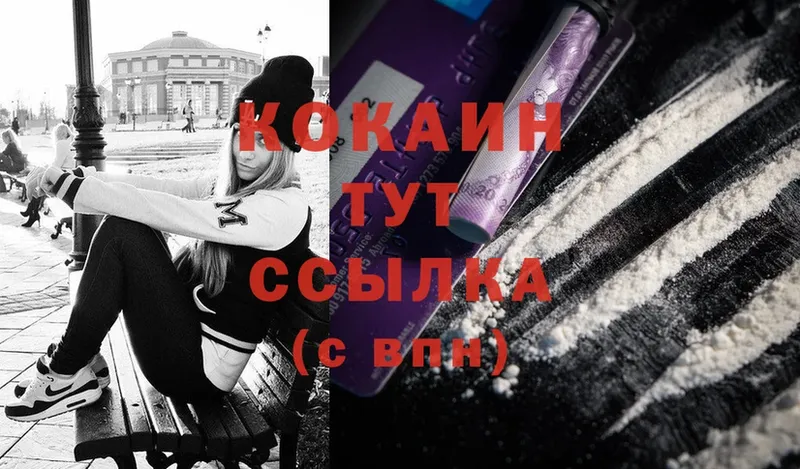 купить  цена  Починок  Cocaine VHQ 